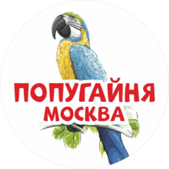 Смирнова Любовь Григорьевна