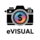 eVisual LLC
