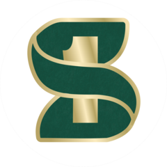 Шакирова Диляра Флюровна