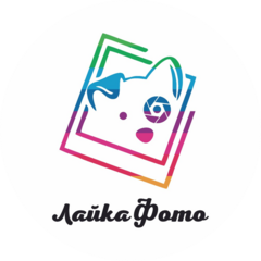 Лайка фото
