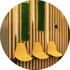 Кирюшкин Алексей Евгеньевич