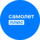 Агентство недвижимости Самолет Плюс (ИП Шабурова Ольга Андреевна)