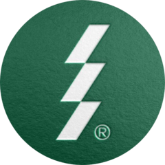 Алтайлес, Лесная холдинговая компания