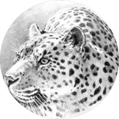 ТМ Флексгейт ( ИП Теплова Ирина Петровна)