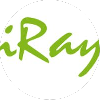 iRay Technology