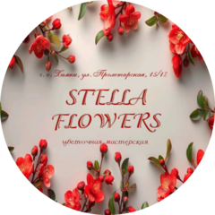 Школенко.С.В