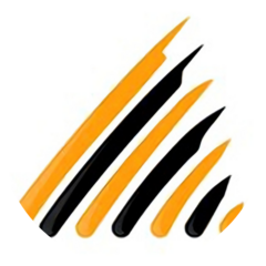 Чеклецова Анастасия Дмитриевна