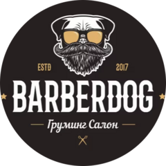 Ситникова Алёна Дмитриевна