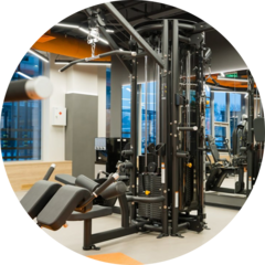 Гимназия фитнес