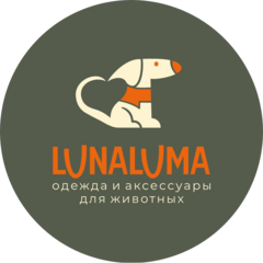 Васильев Константин Владимирович