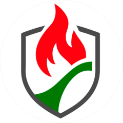 Качественные решения