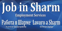 Job in Sharm