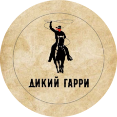 Дикий Гарри