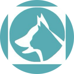 Ветеринарная клиника доктора Мороза