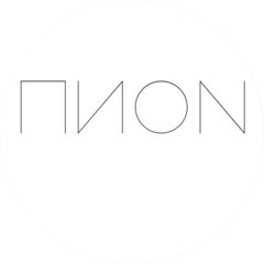 ПИON
