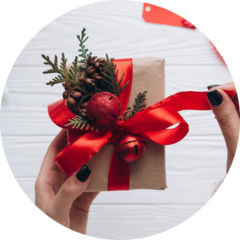 Слесарева Анастасия Владимировна