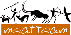 МитТим
