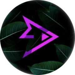 Digital Clan (компьютерный лаунж-бар)