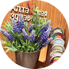 Алтайская Здравница таежный spa (ИП Дмитриева Елена Владимировна)