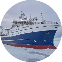 Цыцман Антон Владимирович