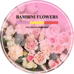 Язов Александр Викторович