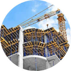 Тимофеев Николай Владимирович