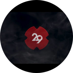 Двадцать Девять