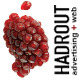 Hadrout