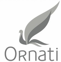 Компания ORNATI