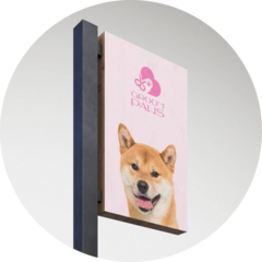 Продан Виталия