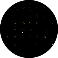 Акопян Роберт Арамаисович