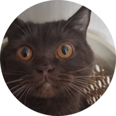 Ануфриева Юлия Владимировна