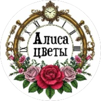 Алиса в Испанских Кварталах