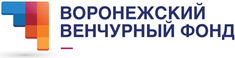 содействия развитию венчурных инвестиций в малые предприятия в научно-технической сфере Воронежской области