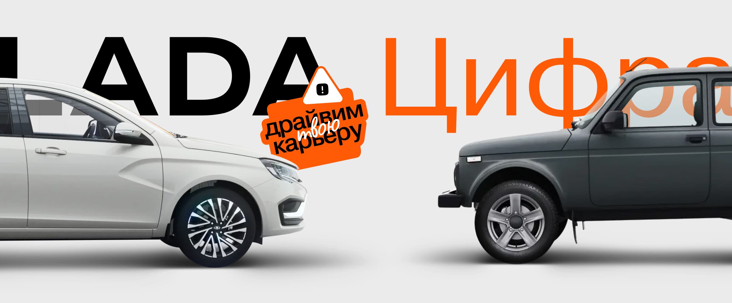 Наша команда