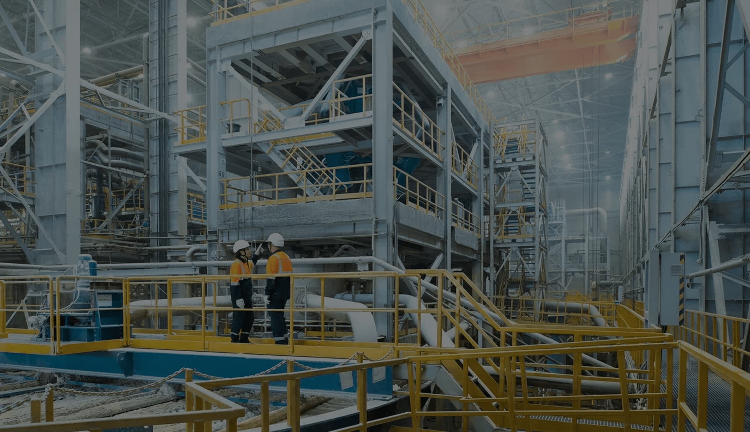 Наша команда