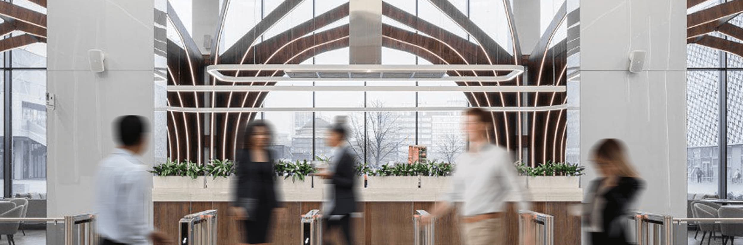 Наша команда