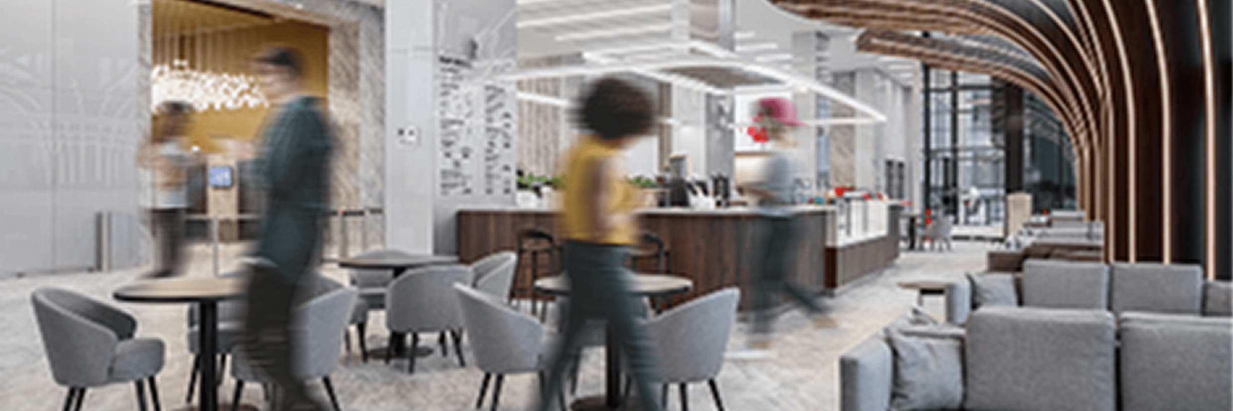 Наша команда