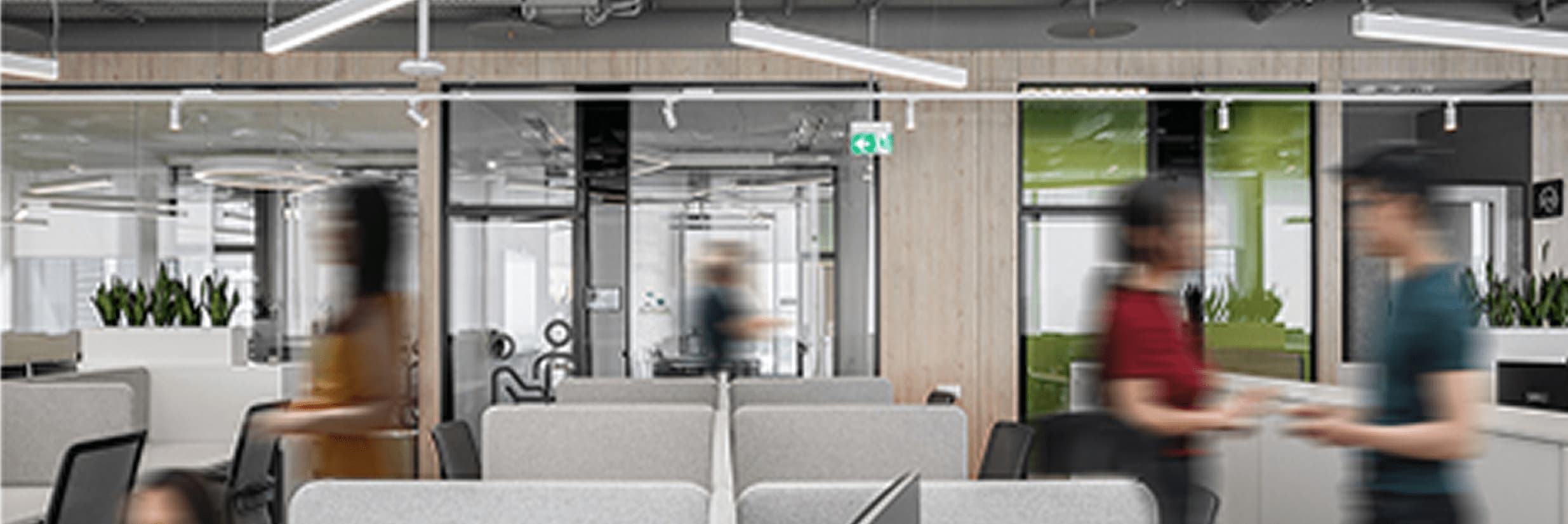 Наша команда