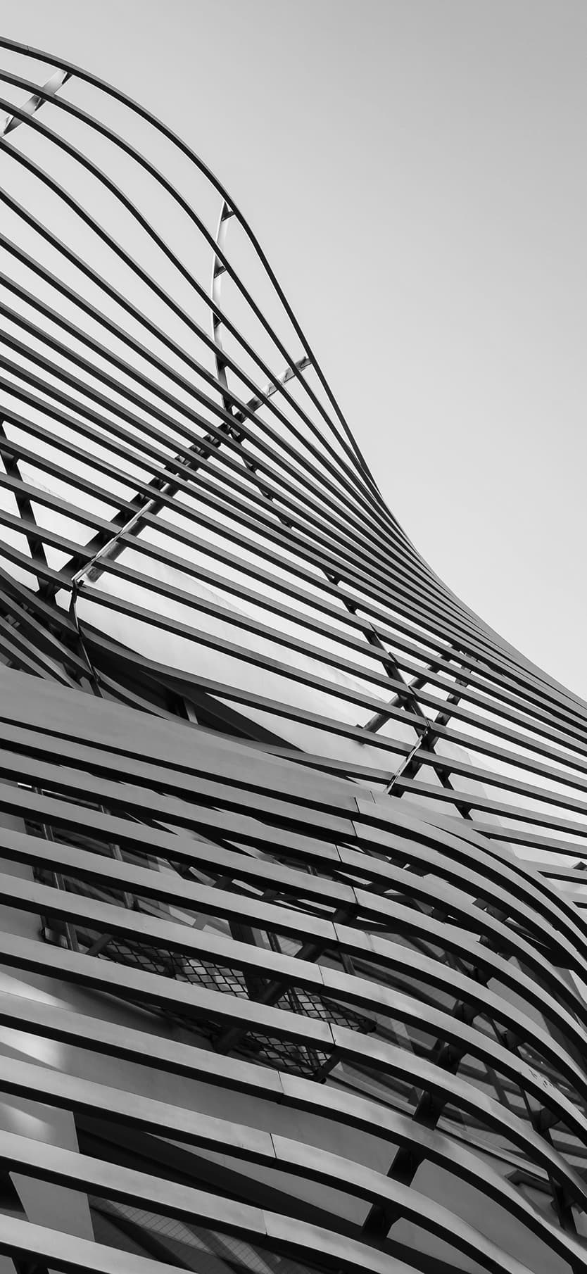 Наша команда