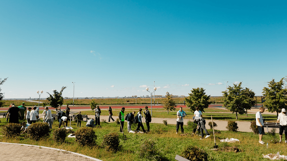 Слайд 5: Субботник