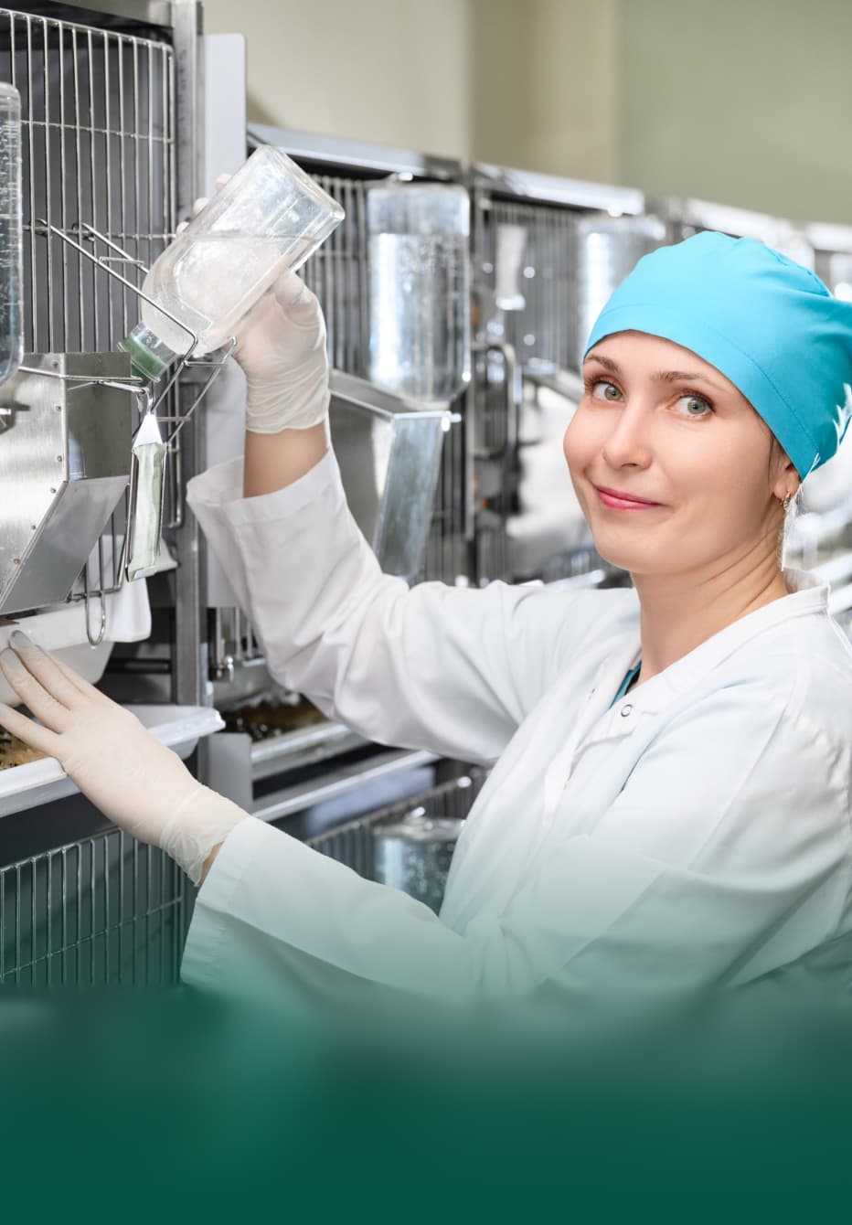 Наша команда