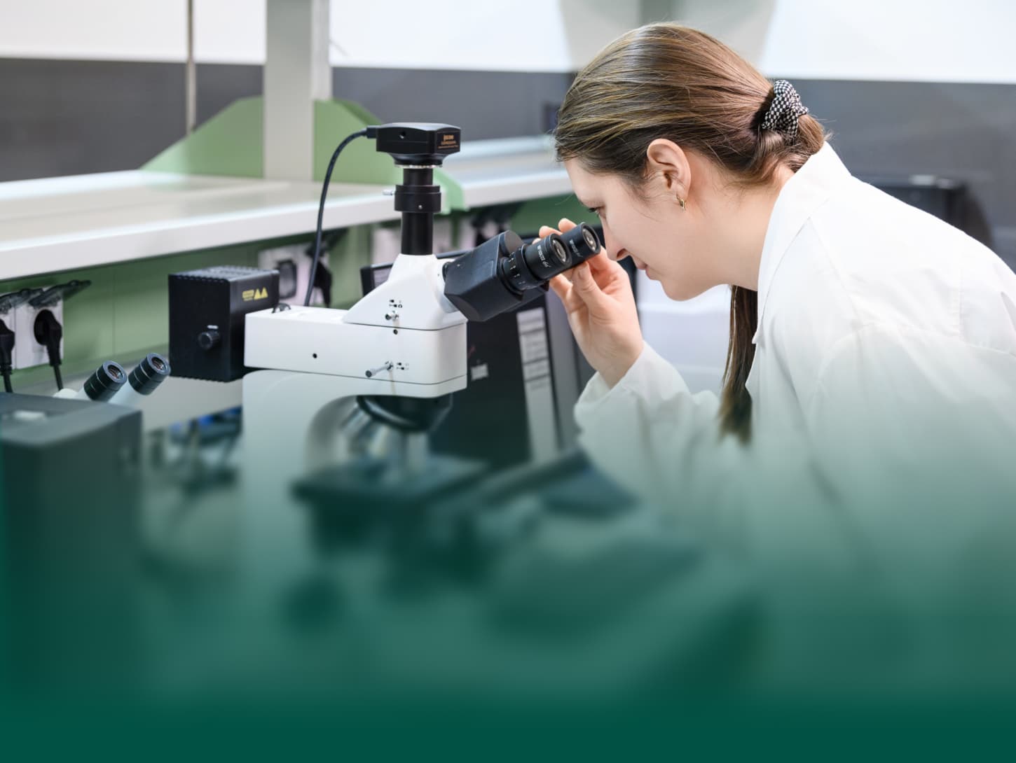 Наша команда