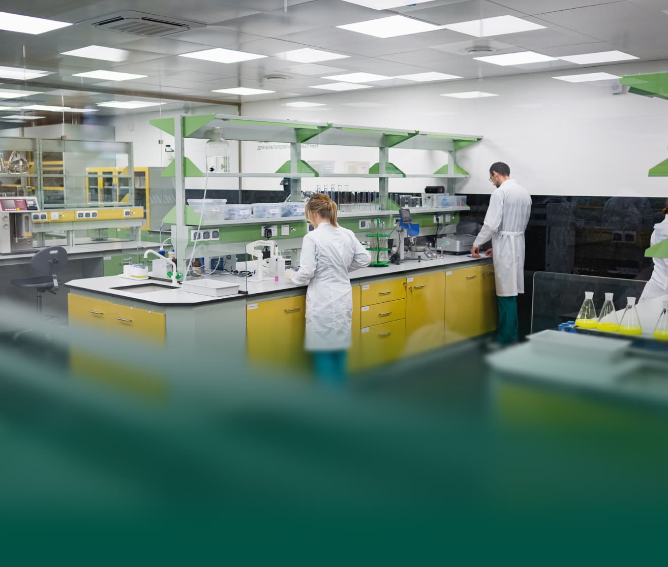 Наша команда