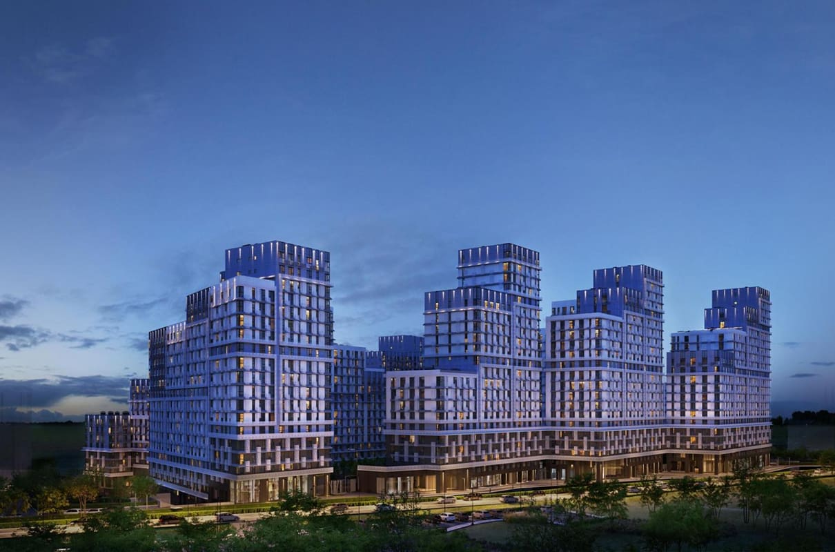 Наша команда