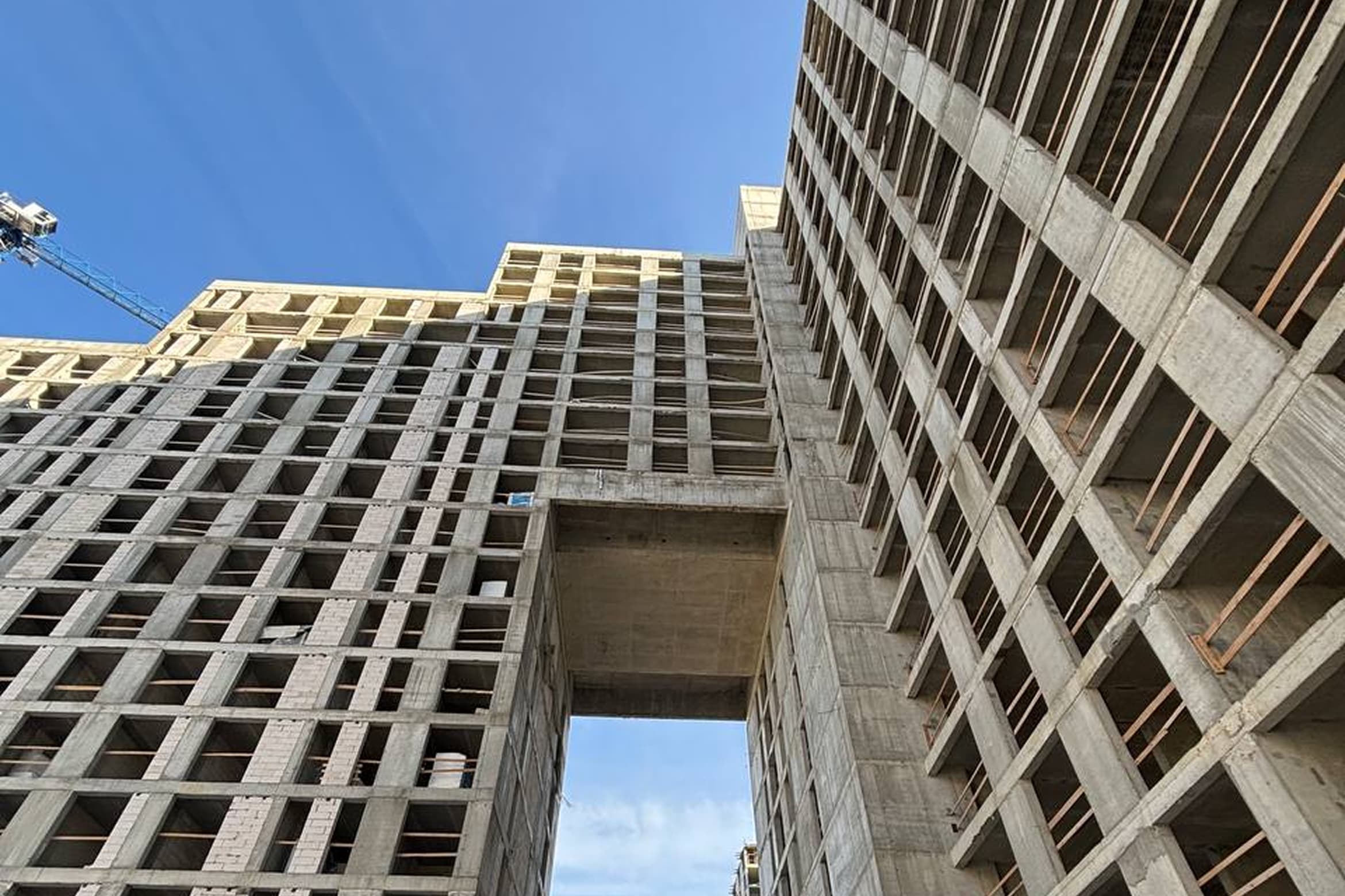 Наша команда