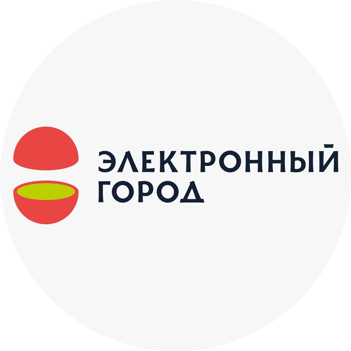 Электронный город