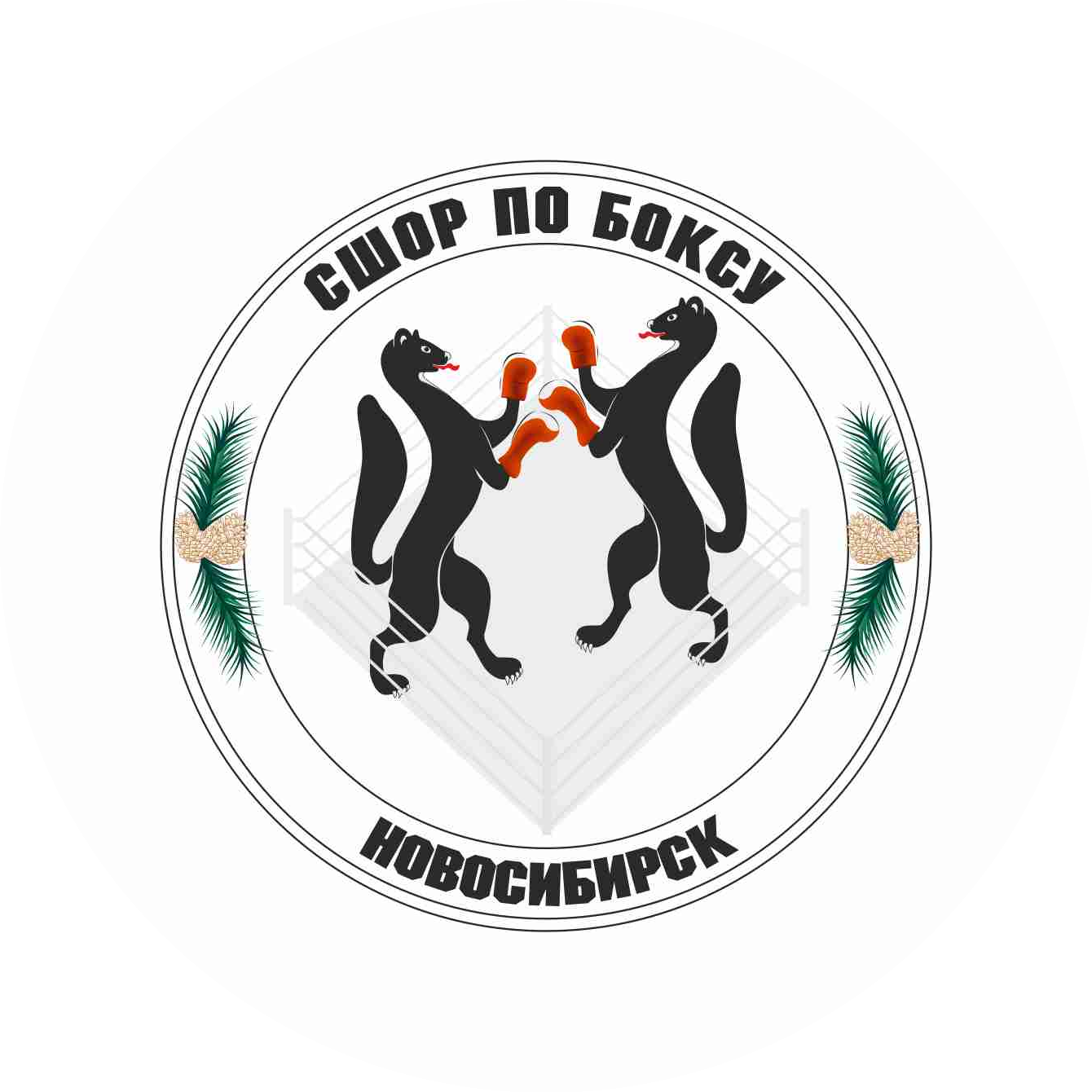 МБУДО СШОР по боксу