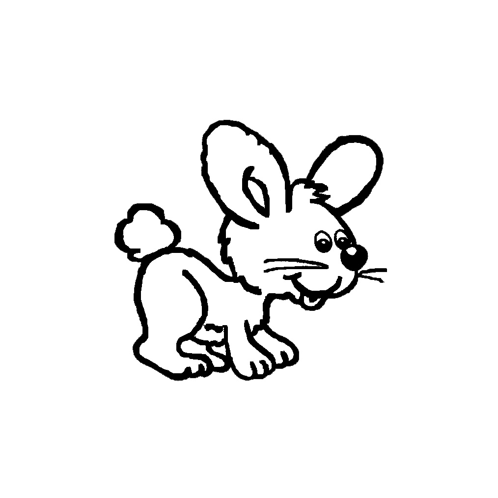 Зоомагазин Зверушка