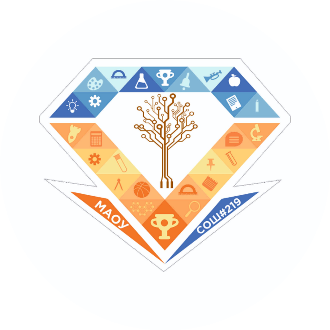 МАОУ СОШ № 219